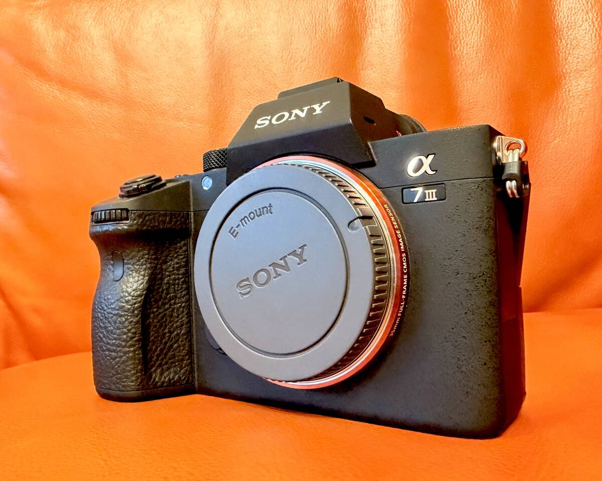 ★極上★SONY α7III ILCE-7M3 シャッター 211 回！おまけ付