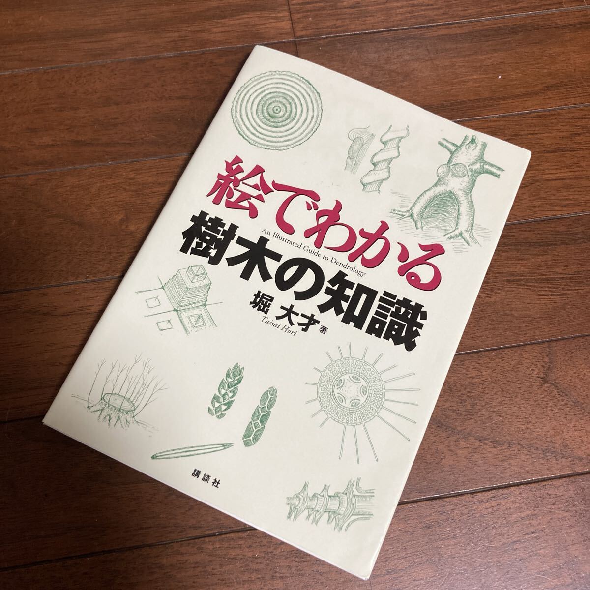 絵でわかる樹木の知識 （絵でわかるシリーズ） 堀大才／著