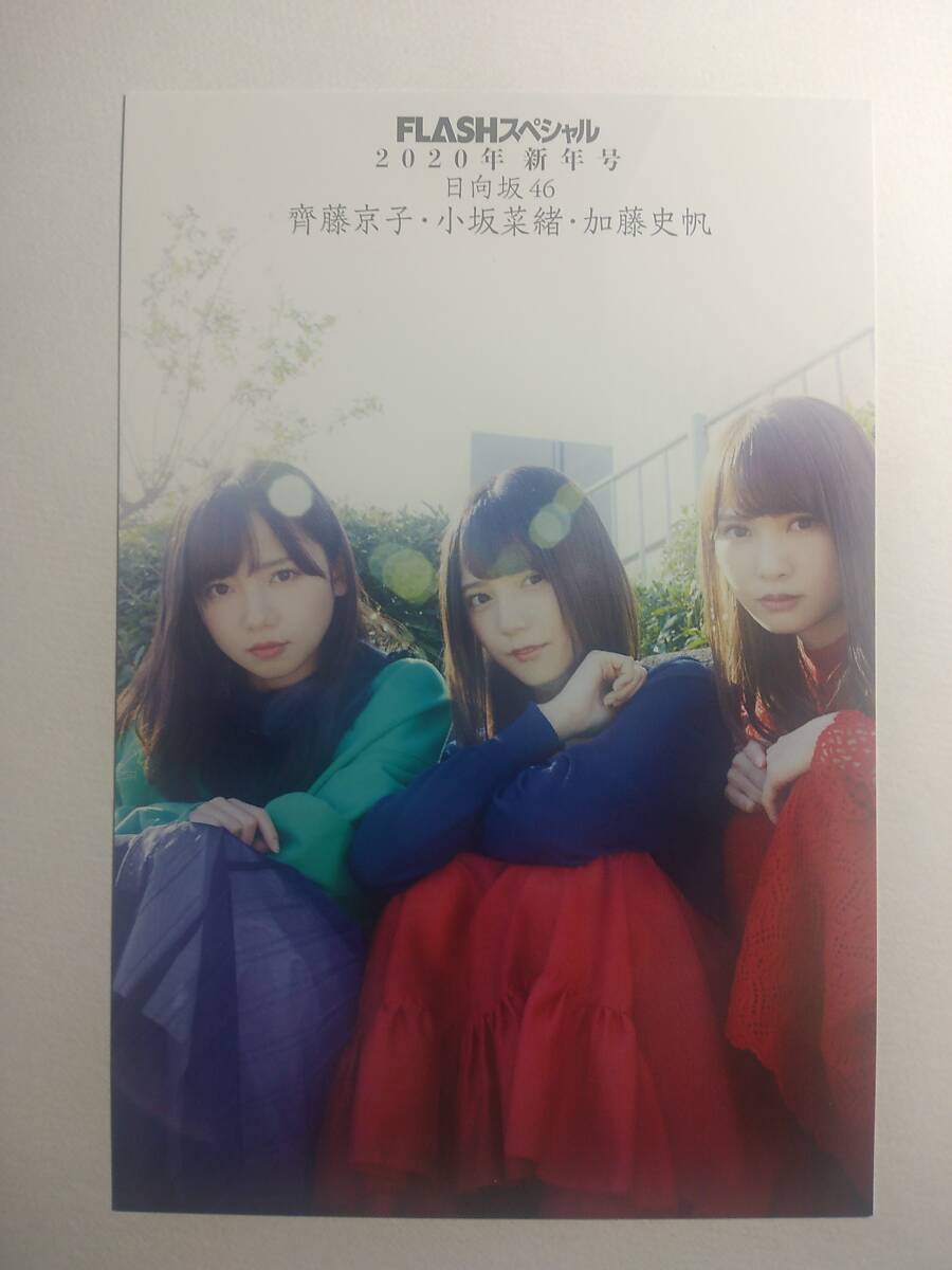 【ポストカード】WEB先着限定/FLASHスペシャル/日向坂46/小坂菜緒＆齊藤京子＆加藤史帆ポストカード
