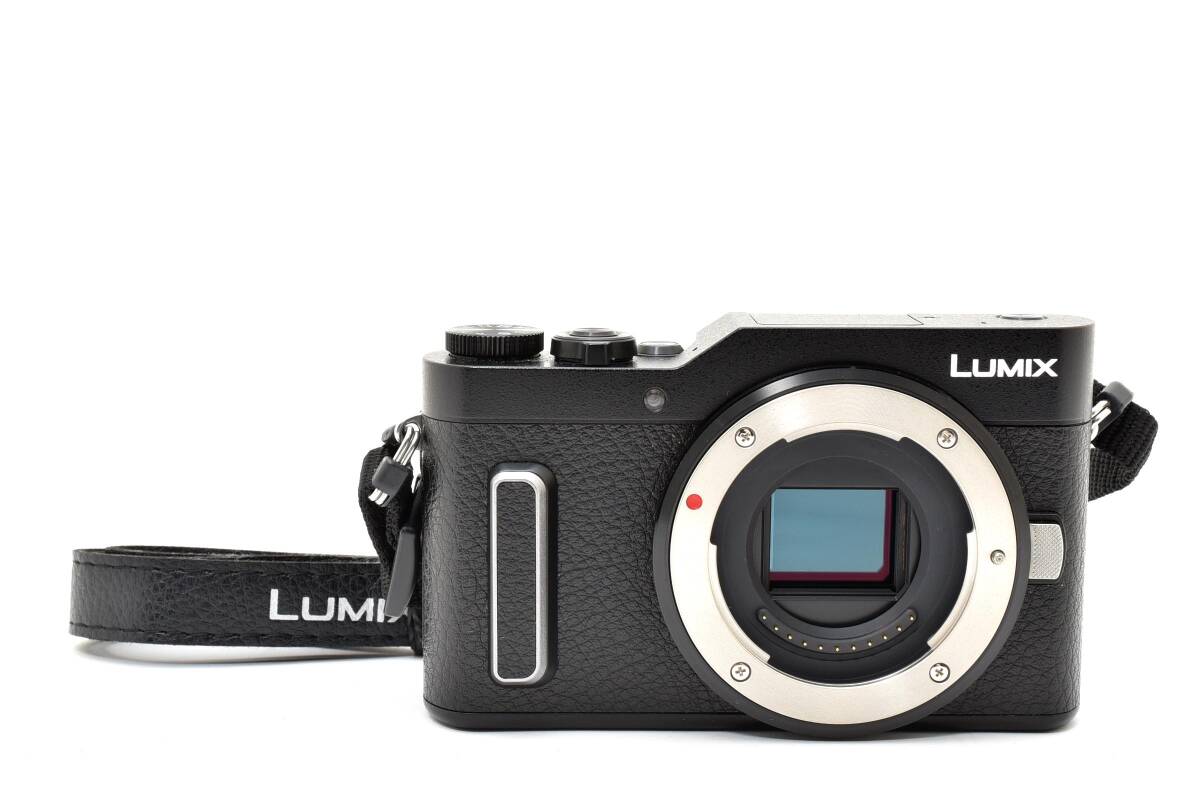 Panasonic パナソニック LUMIX DC-GF10 ブラック ストラップ付