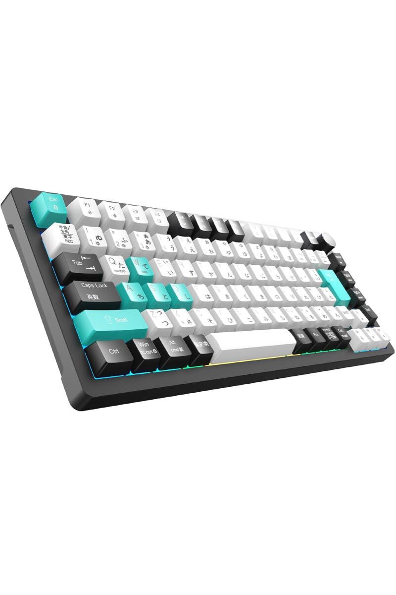 ゲーミングキーボード 2025年業界初 日本語JIS配列＆かな印字一体化 75%コンパクト メカニカルキーボード ガスケットマウント