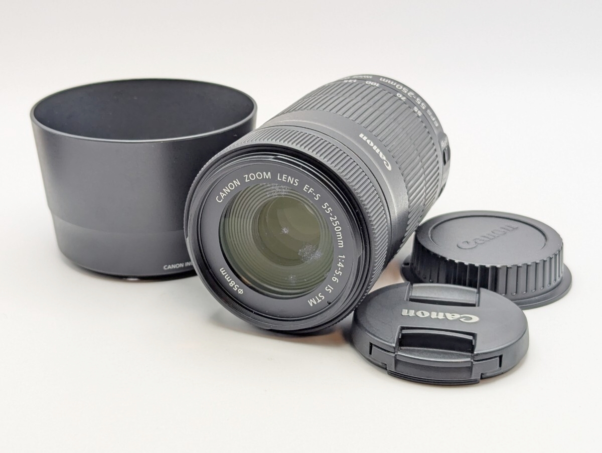 Canon EF-S 55-250mm f4-5.6 IS STM キャノン レンズ 動作品