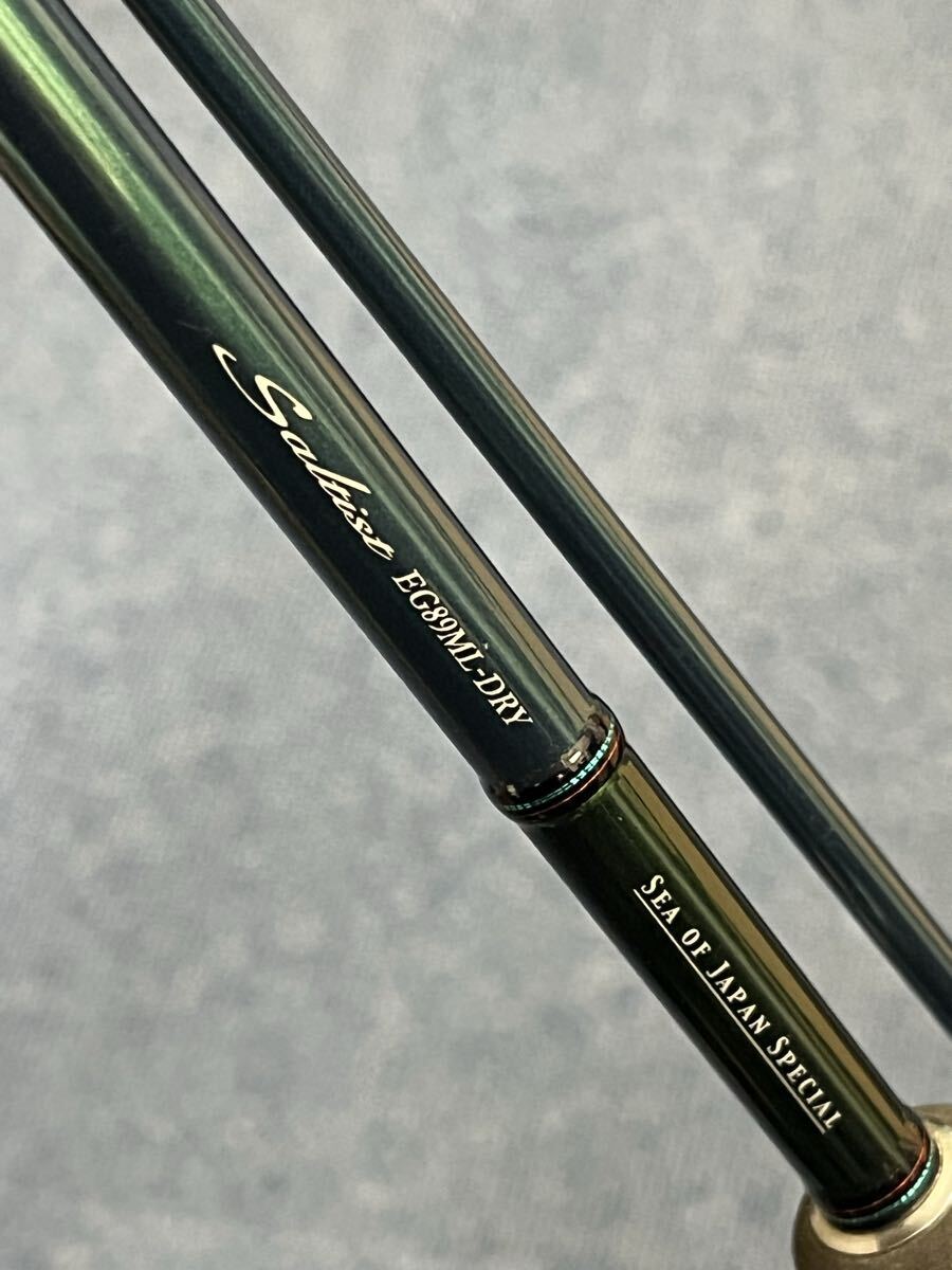 美品　ダイワ ソルティスト エメラルダス EG89ML-DRY DAIWA STOIST エギング