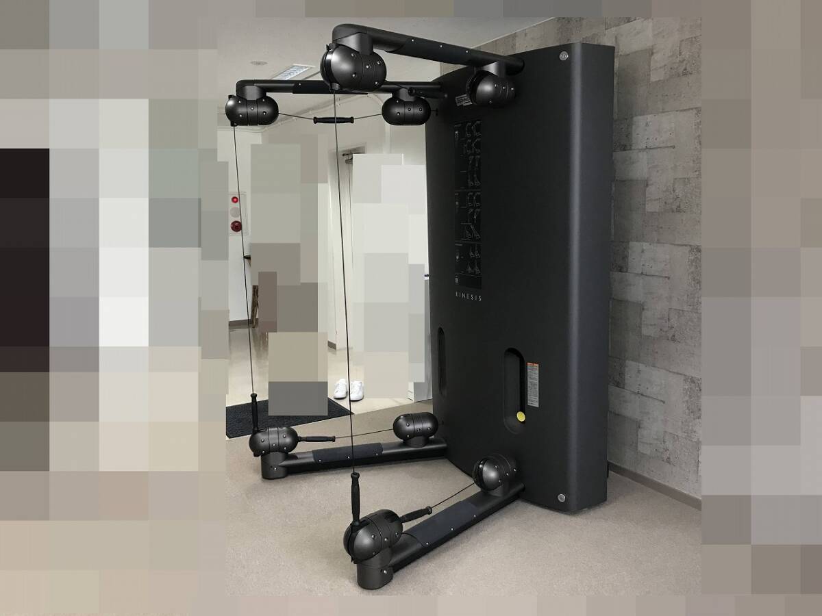 ID9516: テクノジム キネシスワン Kinesis one Kinesis one 体幹 神奈川県相模原市