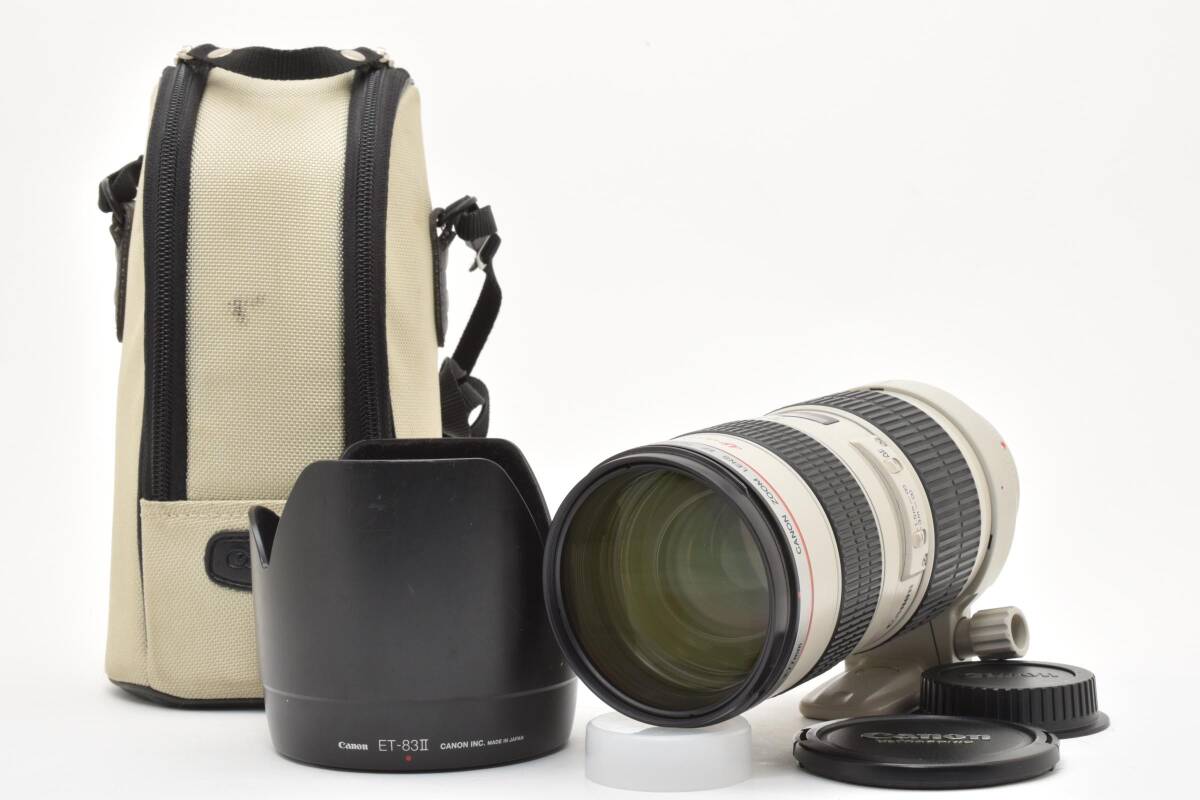 Canon EF 70-200mm F/2.8 L USM L0625