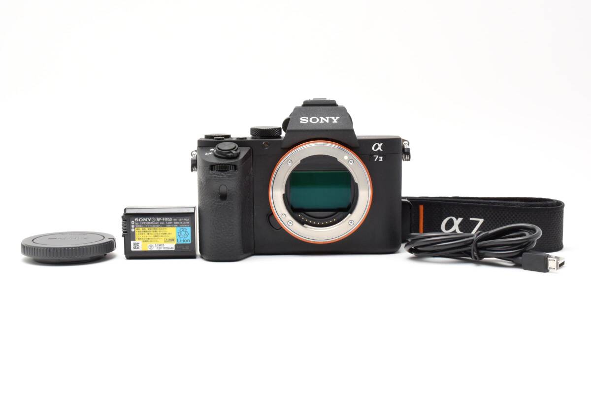 ■202ショットのほぼ新品■ SONY ソニー α7II ミラーレス一眼 #D052