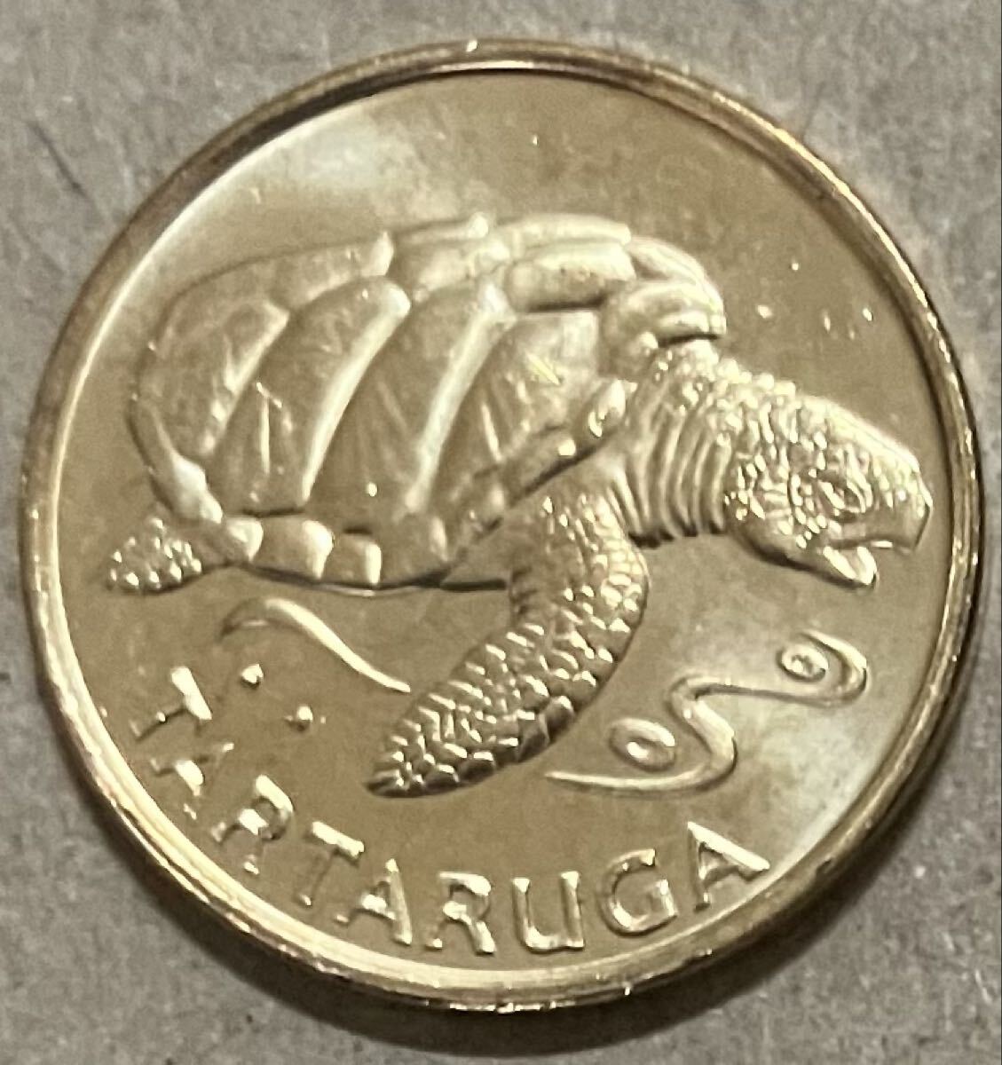 カーボベルデ　1エスクード　1994年　外国コイン　外国硬貨　カーボベルデコイン　アフリカコイン　亀コイン　カメ