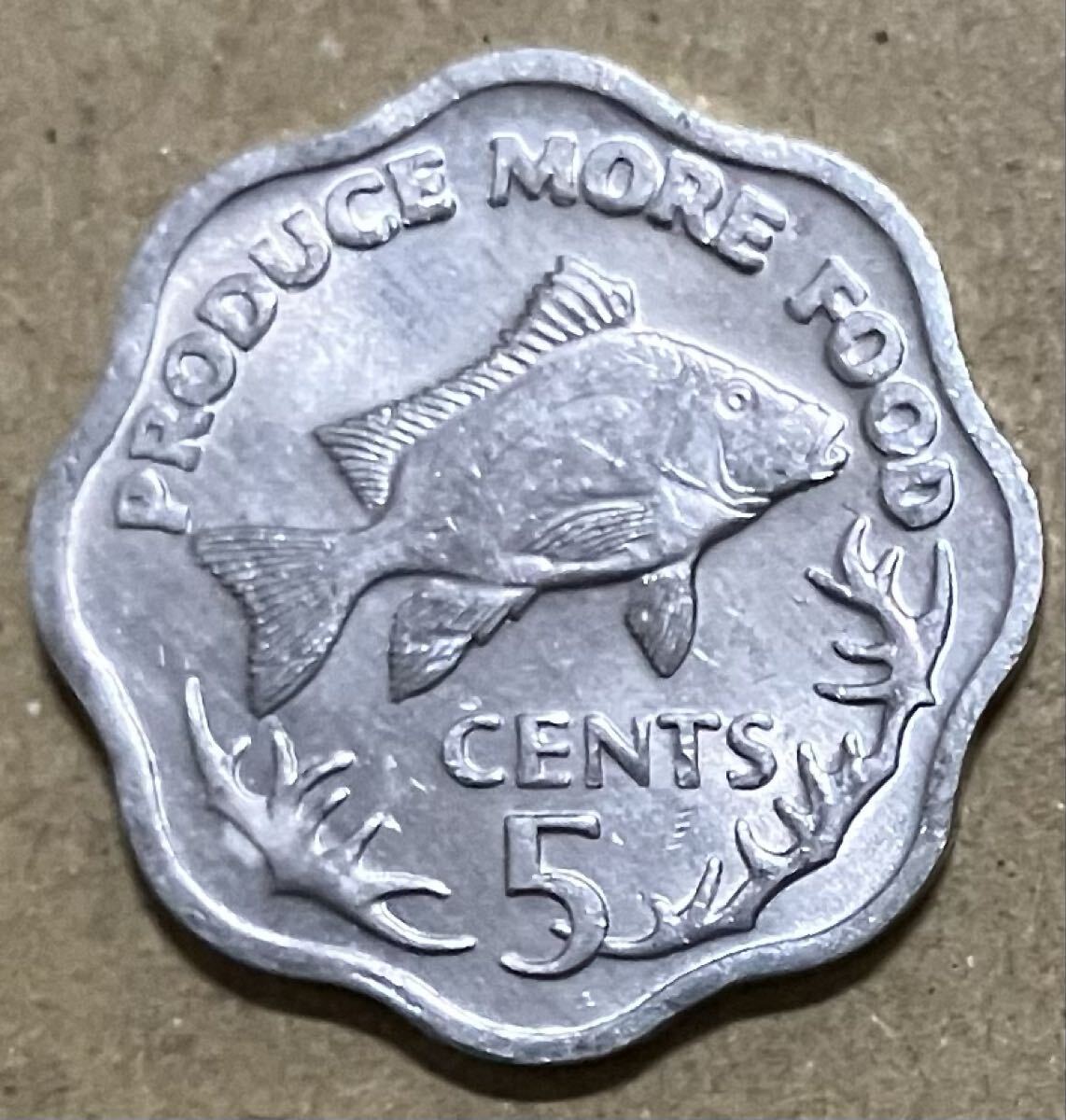 j セーシェル　5セント　記念コイン　1977年　外国コイン　外国硬貨　魚　FAO アフリカコイン　FAOコイン