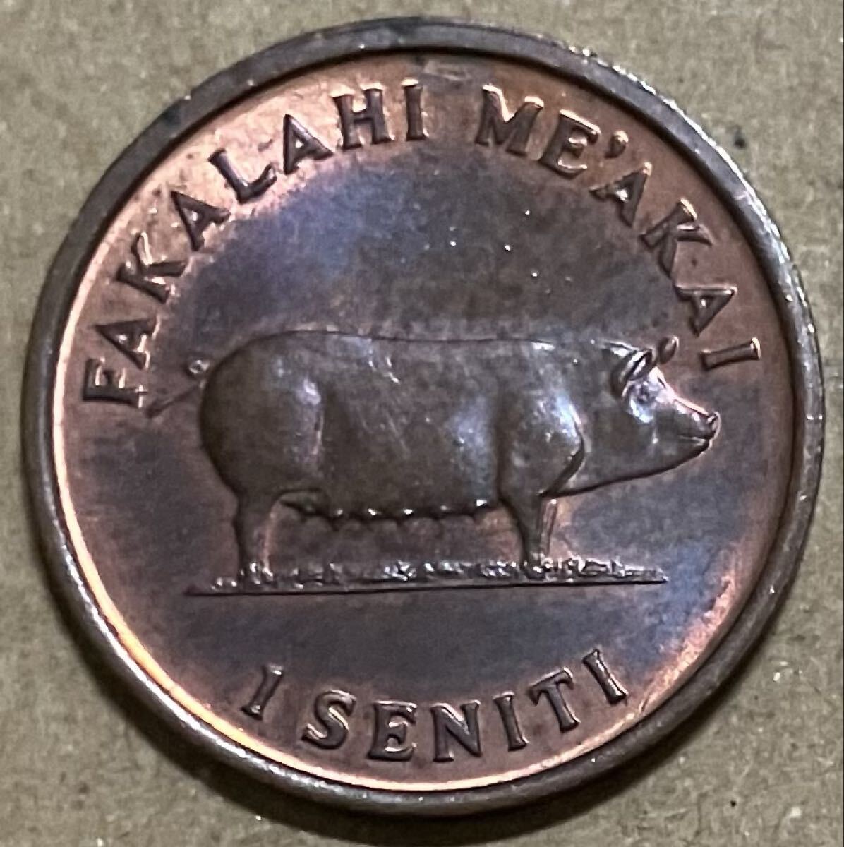 j トンガ　1セニティ　1975年　外国コイン　外国硬貨　トンガコイン　オセアニアコイン　動物コイン