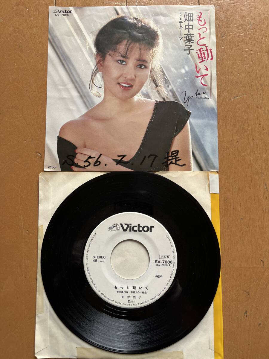 見本盤　　畑中葉子　もっと動いて