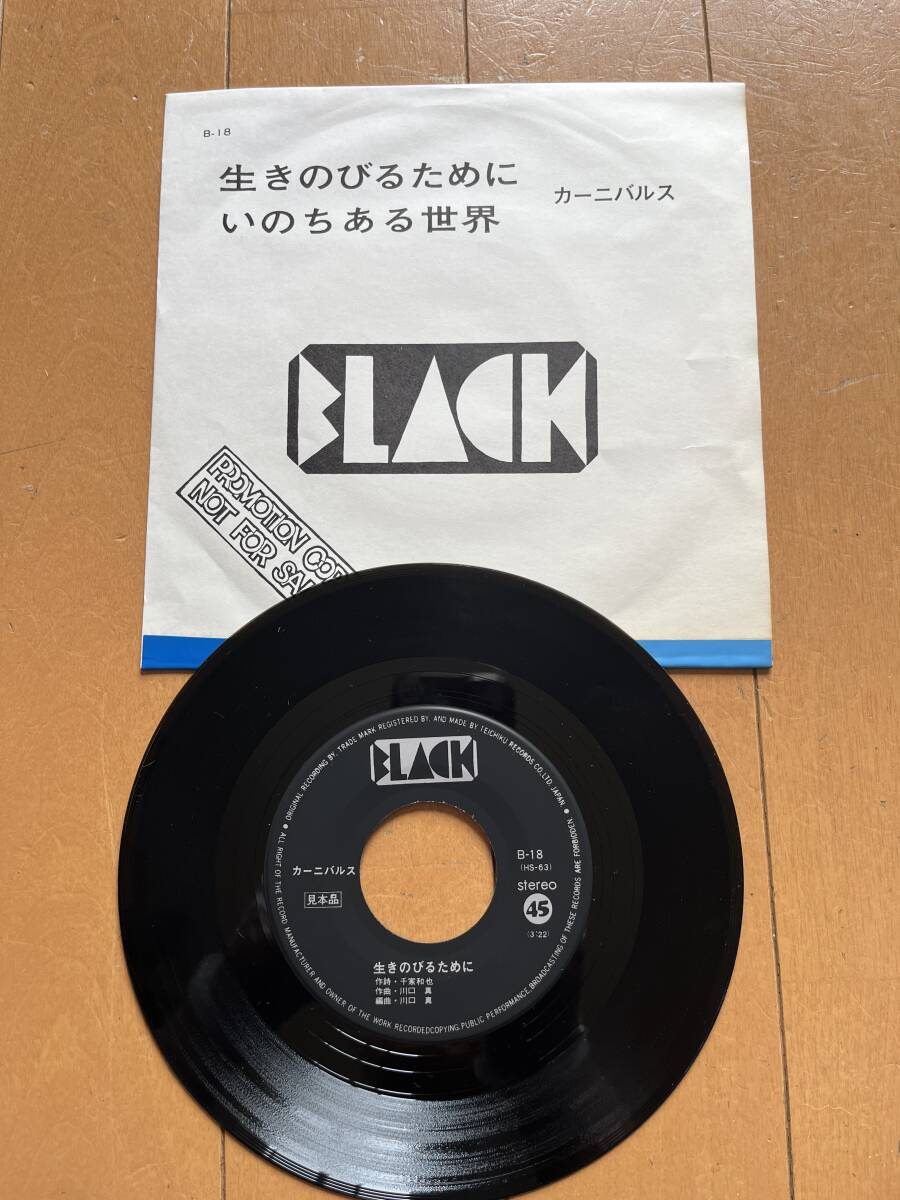 見本盤　　カーニバル　生きのびるために