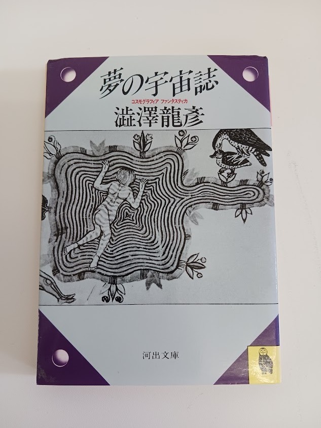 【u02007】【本】夢の宇宙誌 澁澤龍 河出文庫 コスモグラフィア・ファンタスティカ エッセイ集