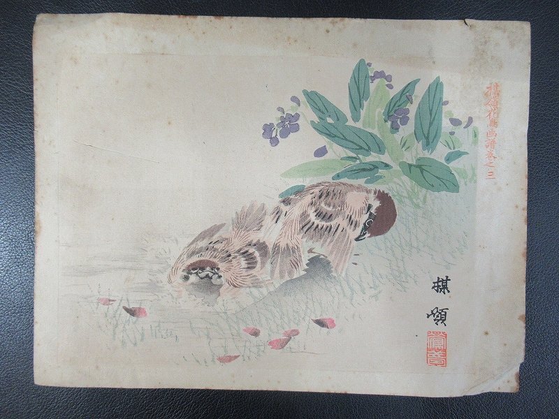 D5199 幸野楳嶺 花鳥画譜 巻之三 菫に雀 木版画 日本画