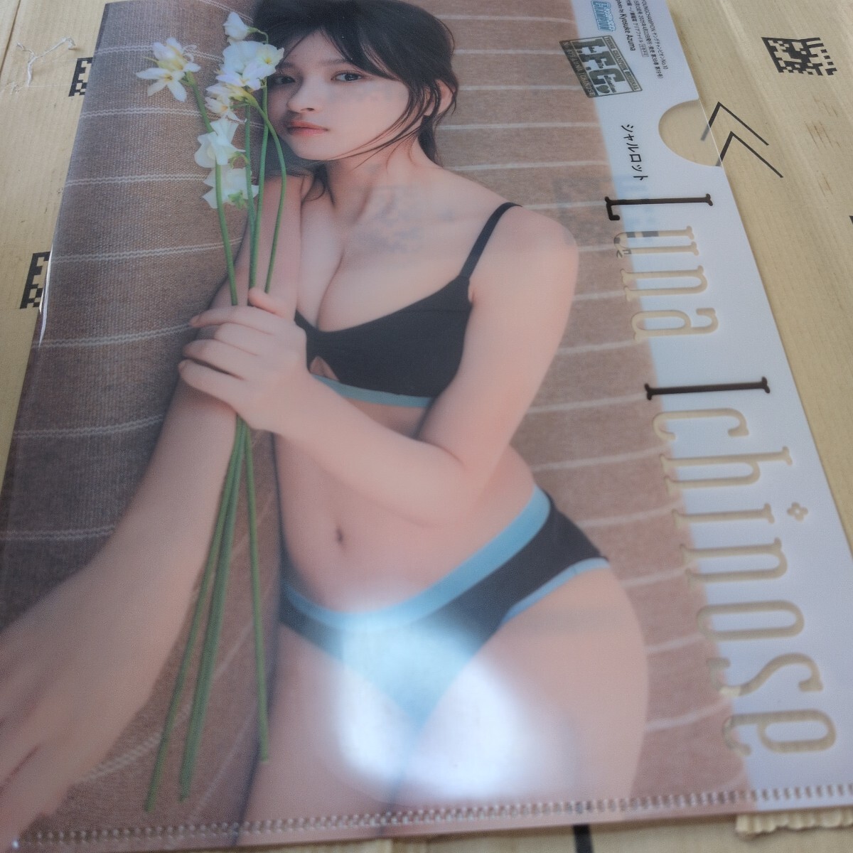 一ノ瀬瑠菜 ヤングチャンピオン付録 クリアファイル
