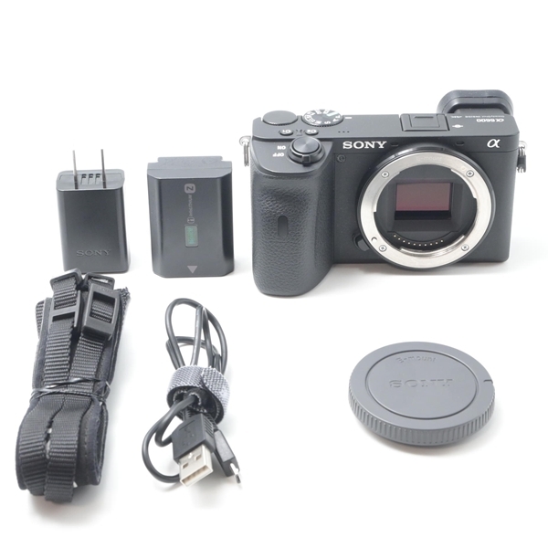 ソニー SONY α6600 ボディ ILCE-6600