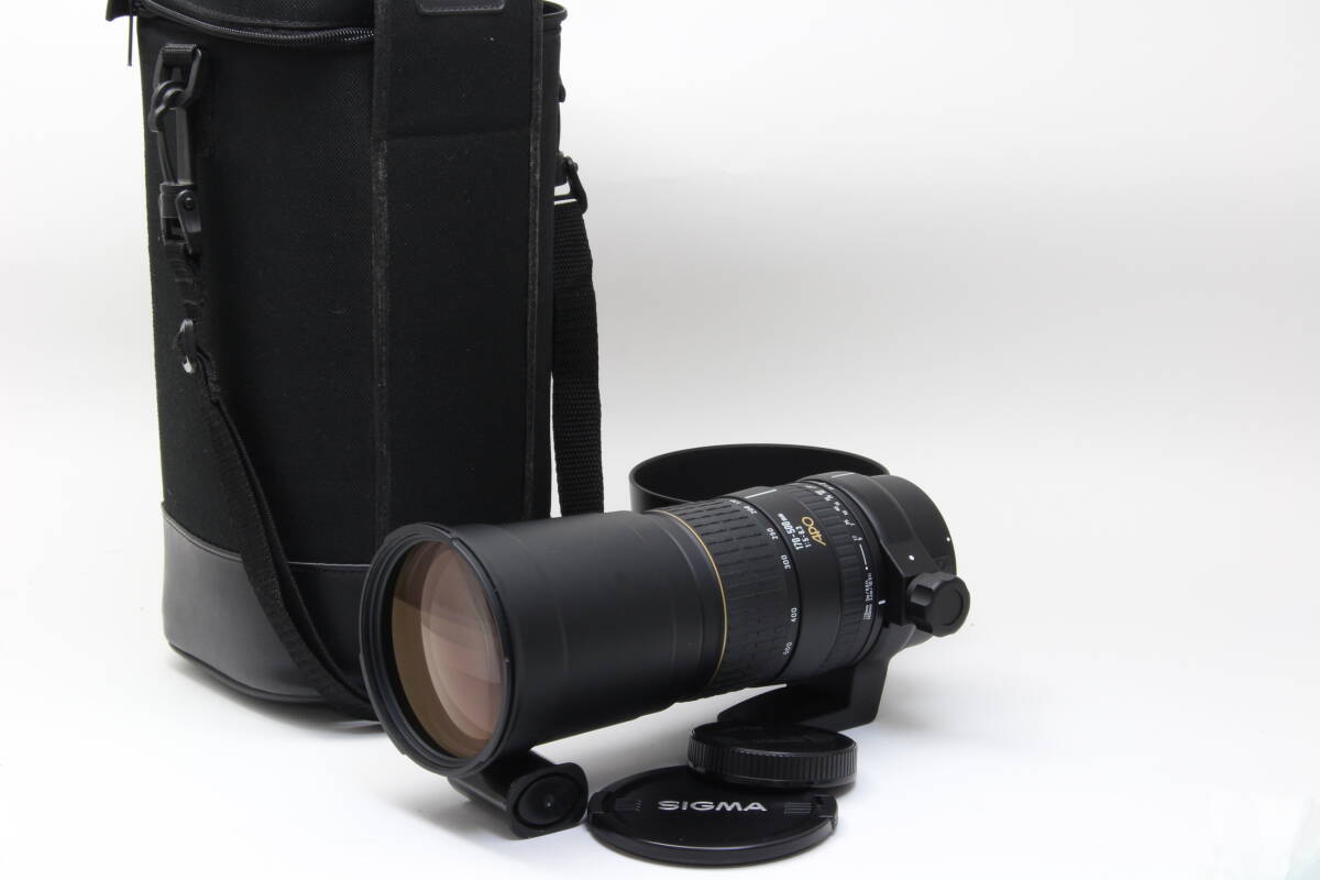 B+ (並品) SIGMA シグマ APO 170-500mm F5-6.3 Canon用 初期不良返品無料