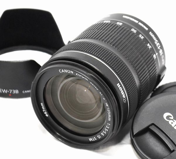 【超美品・純正フード付き】Canon キヤノン EF-S 18-135mm F3.5-5.6 IS STM