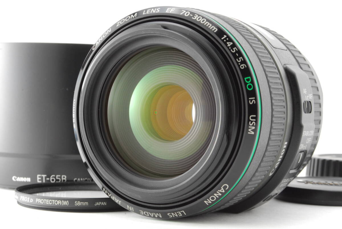 Canon EF 70-300mm f/4.5-5.6 DO IS USM #1066