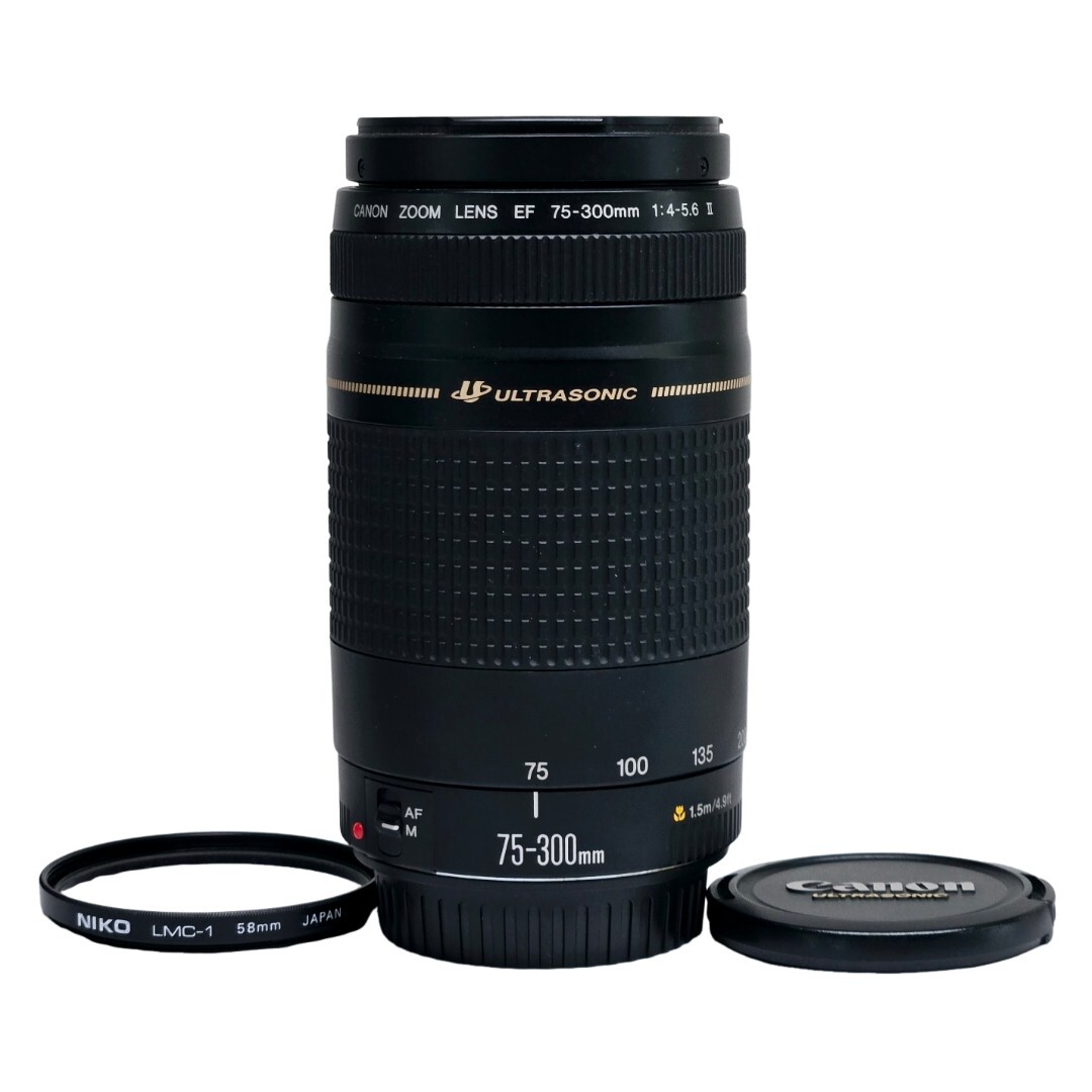 【良品】 CANON キャノン EF 75-300mm F4-5.6 II USM #21916