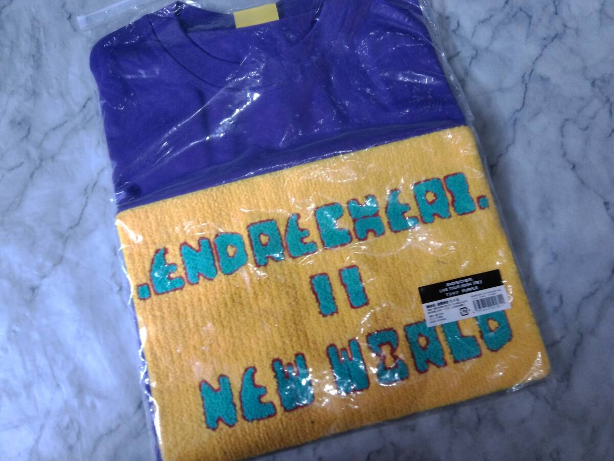 ●●●●ENDRECHERI●Tシャツ●2024●エンドリケリー●紫●堂本剛●KinKi Kids●DOMOTO●STARTO●旧ジャニーズ●●●●