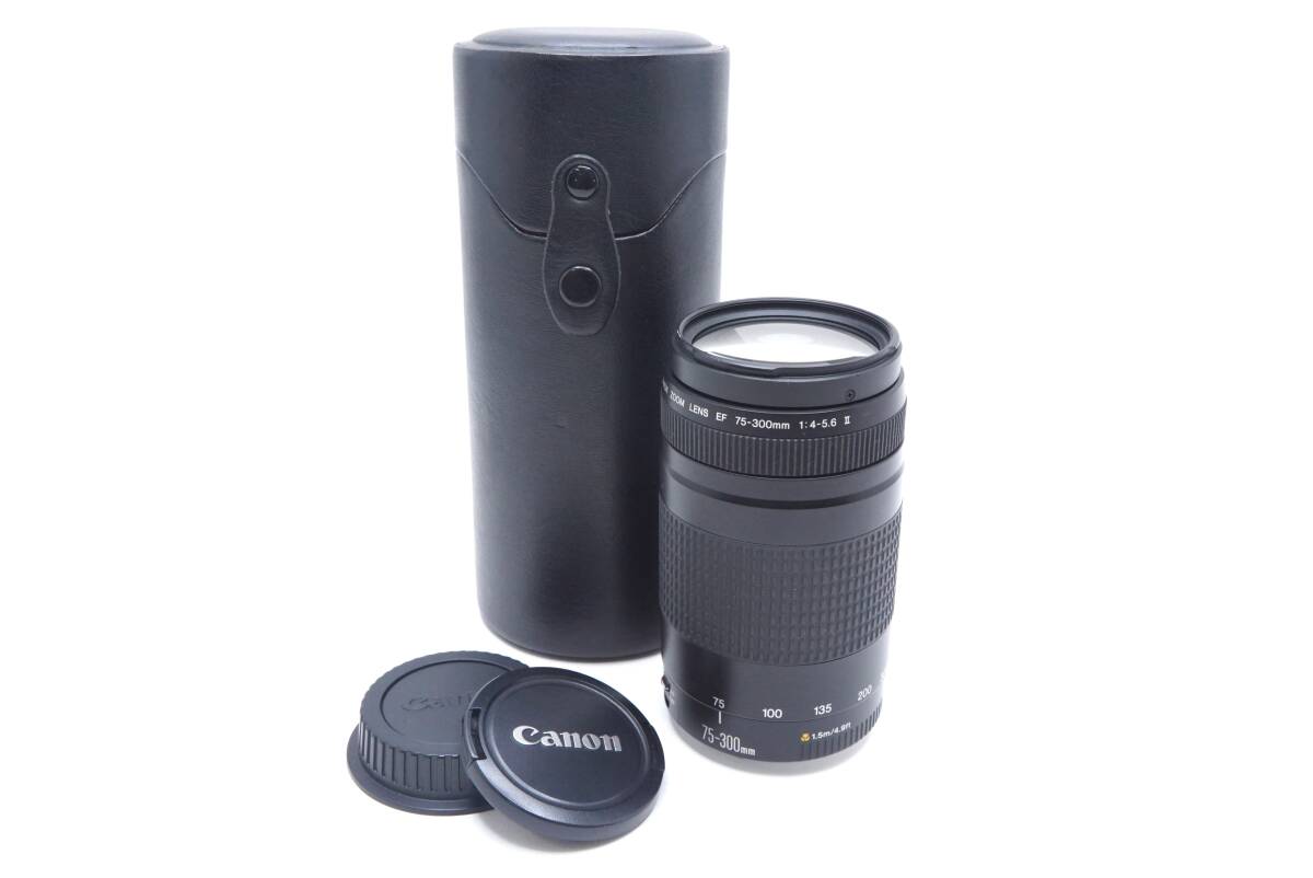 ▽CANON キャノン ZOOM LENS EF 75-300mm F4-5.6 II (前後キャップ・ケース付) 訳あり