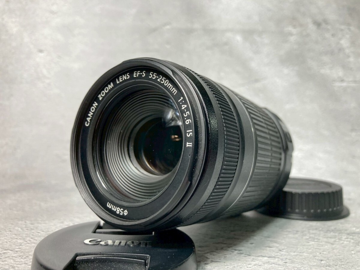 Canon キヤノン EF-S 55-250mm F4-5.6 IS II 望遠レンズ #6