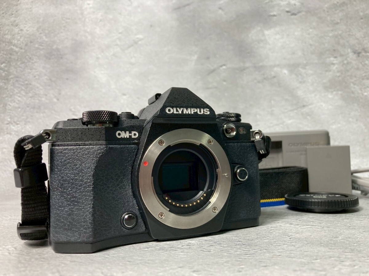OLYMPUS オリンパス OM-D E-M5 Mark II ボディ ミラーレス一眼カメラ #7