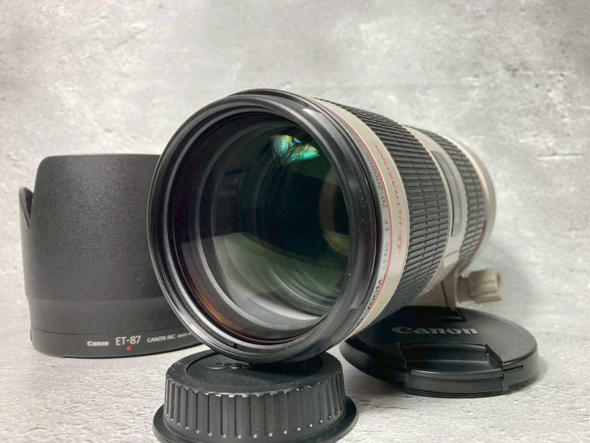 Canon キヤノン EF 70-200mm F2.8 L IS II USM 望遠レンズ #20