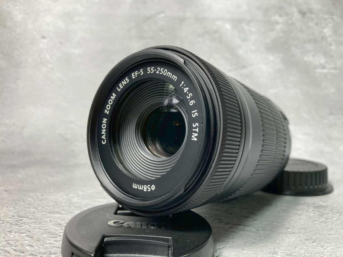 Canon キヤノン EF-S 55-250mm F4-5.6 IS STM 望遠レンズ #30