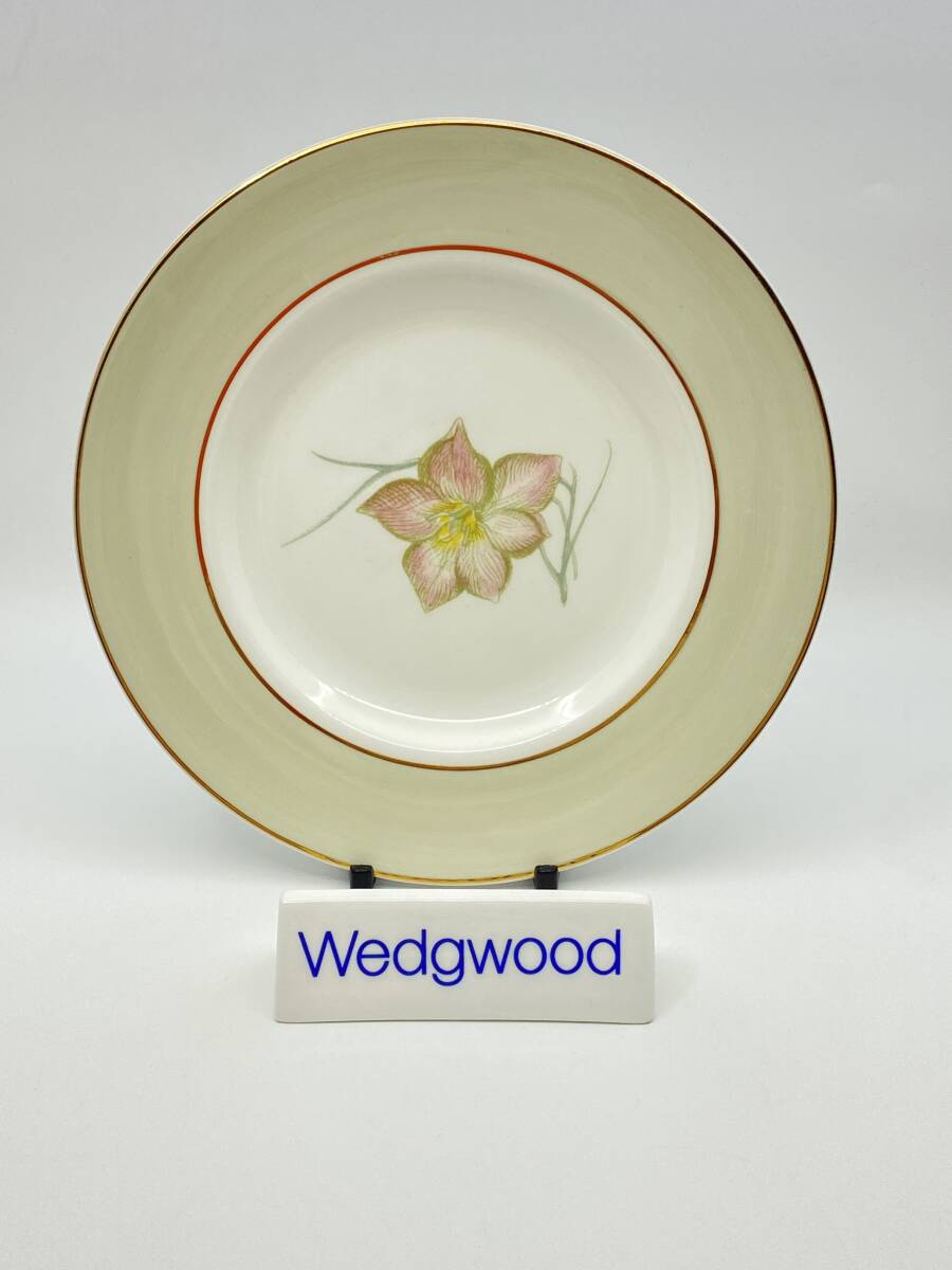 WEDGWOOD ウェッジウッド SUSIE COOPER DAY LILY 17cm Salad Plate スージー・クーパー デイリリー 17cm サラダプレート C981 *L989