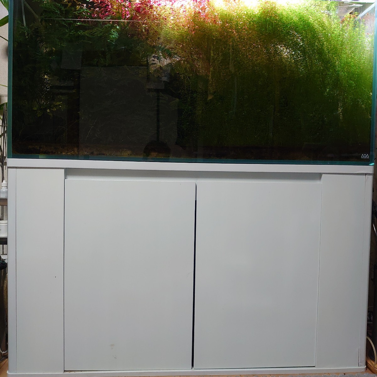 ADA水槽120cm奥行き45cm高さ60cmキューブガーデン 水槽台付き