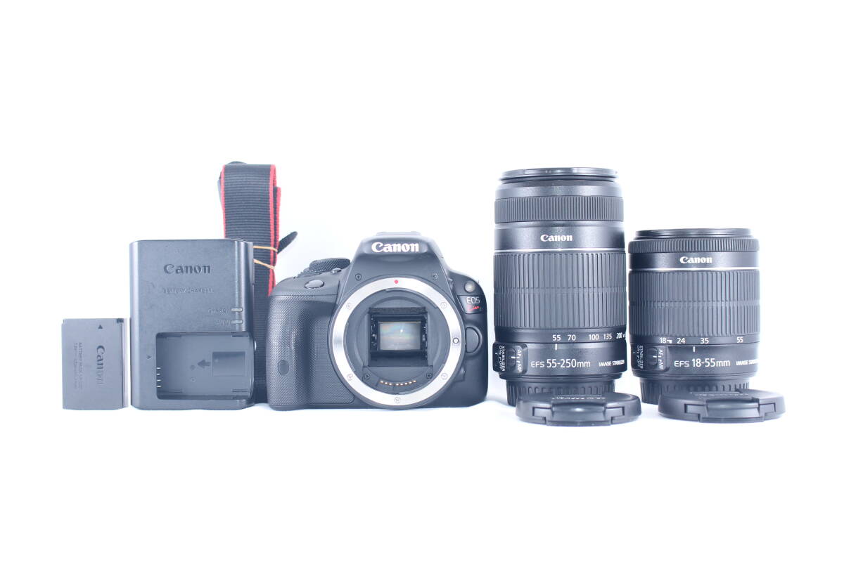 ★極上美品★キャノン CANON EOS KiSS X7 EF-S 18-55mm F3.5-5.6 IS STM / EF-S 55-250mm F4-5.6 IS II ★完動★#T043