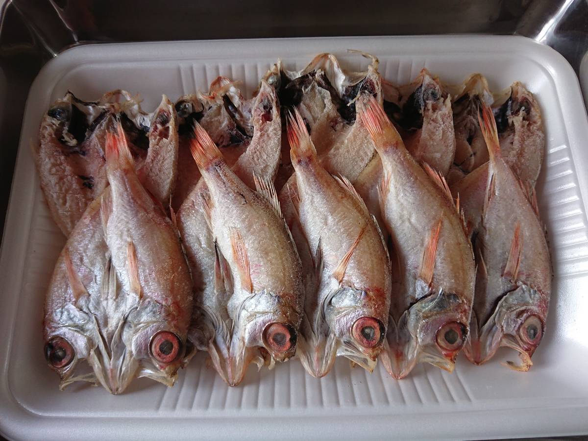 ☆大人気*　国産　のどぐろ 開き干し　　１尾あたり約１６センチ　　１０尾　　冷凍