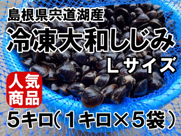 ☆大人気・贈答品にも*　島根県宍道湖産　砂抜き済　大和しじみ　大サイズ　５キロ　 生冷凍　　簡単レシピ付き♪