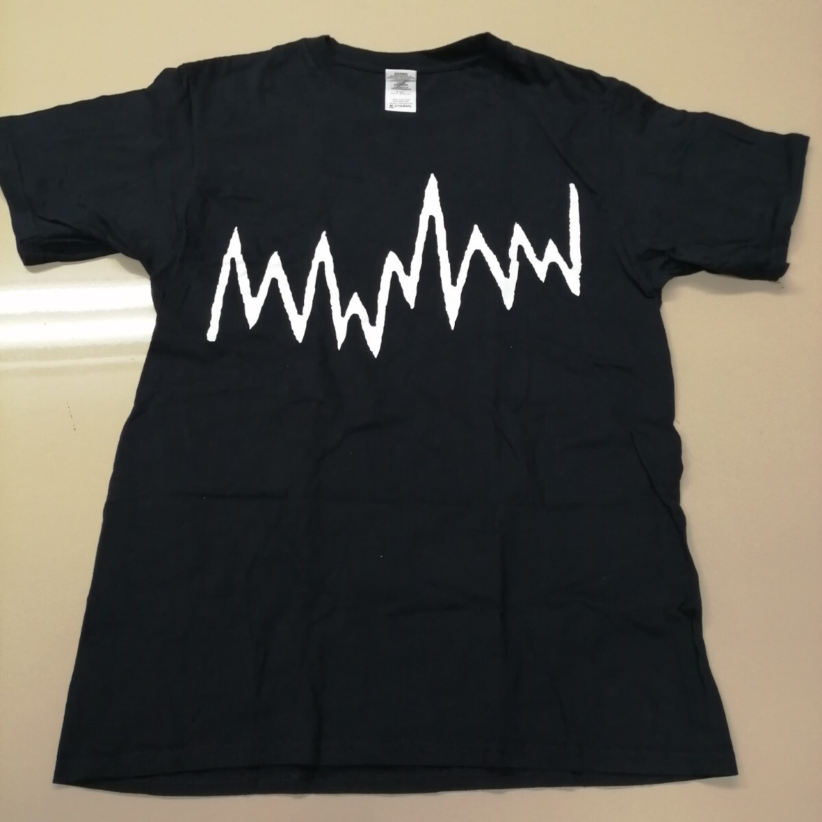 F04 バンドTシャツ　ケミカルブラザーズ　THE CHEMICAL BROTHERS born in the echoes