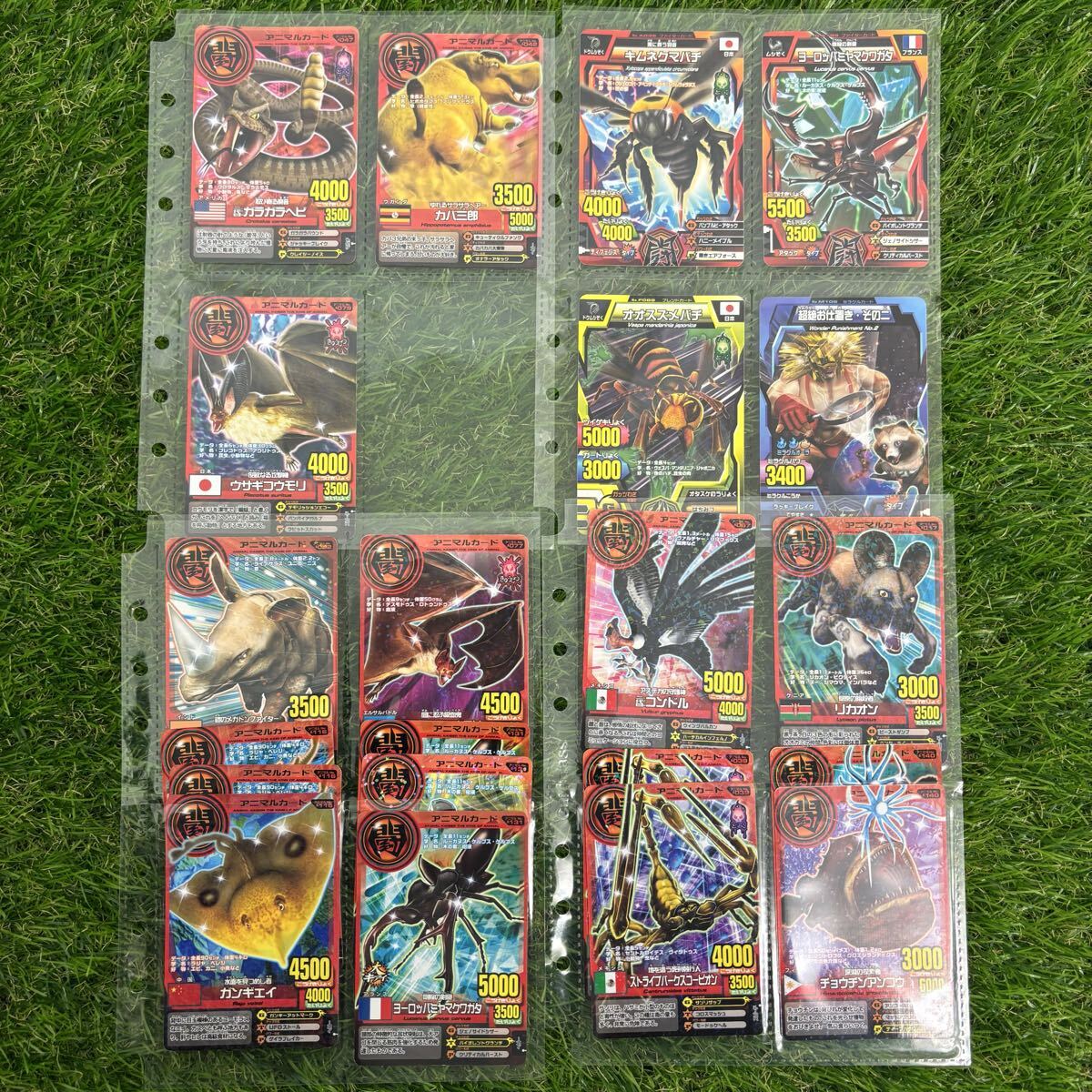 {$data['title']拍卖