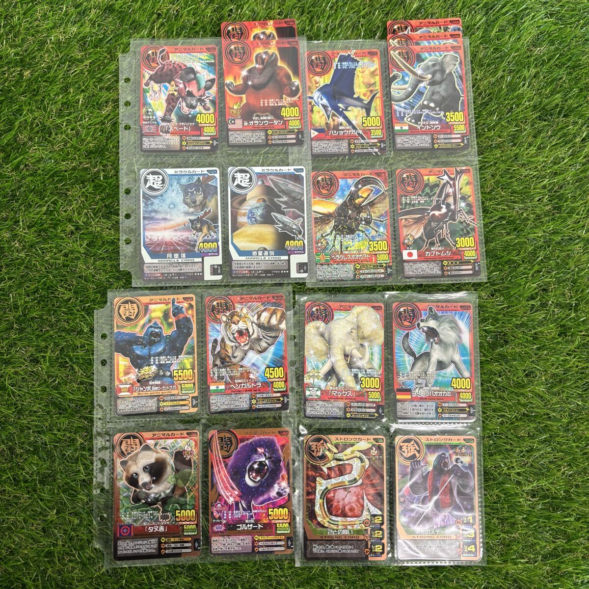 {$data['title']拍卖