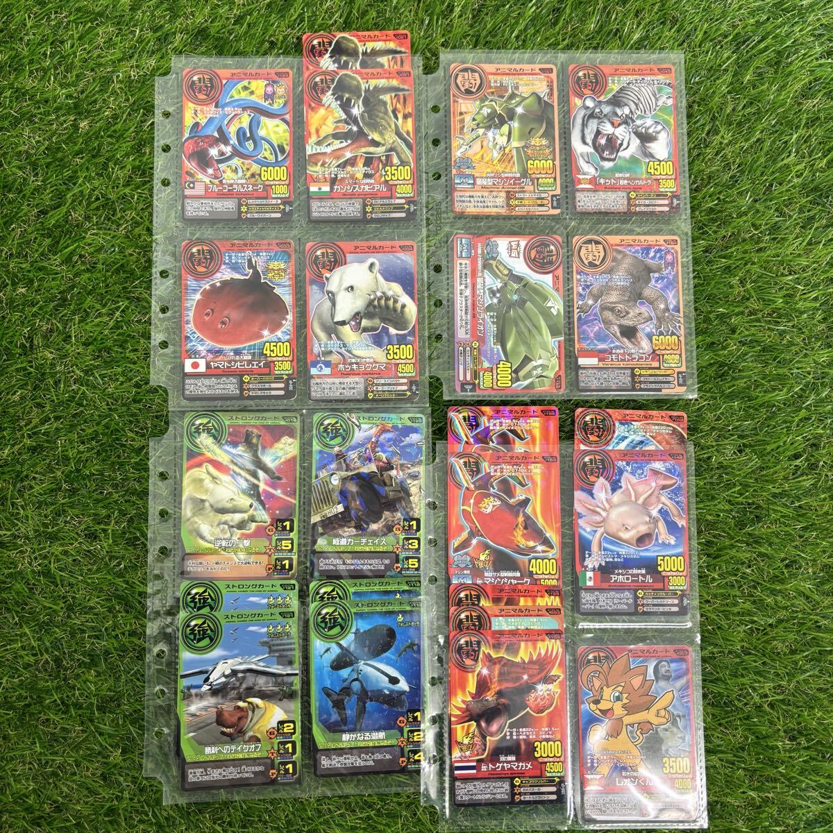 {$data['title']拍卖