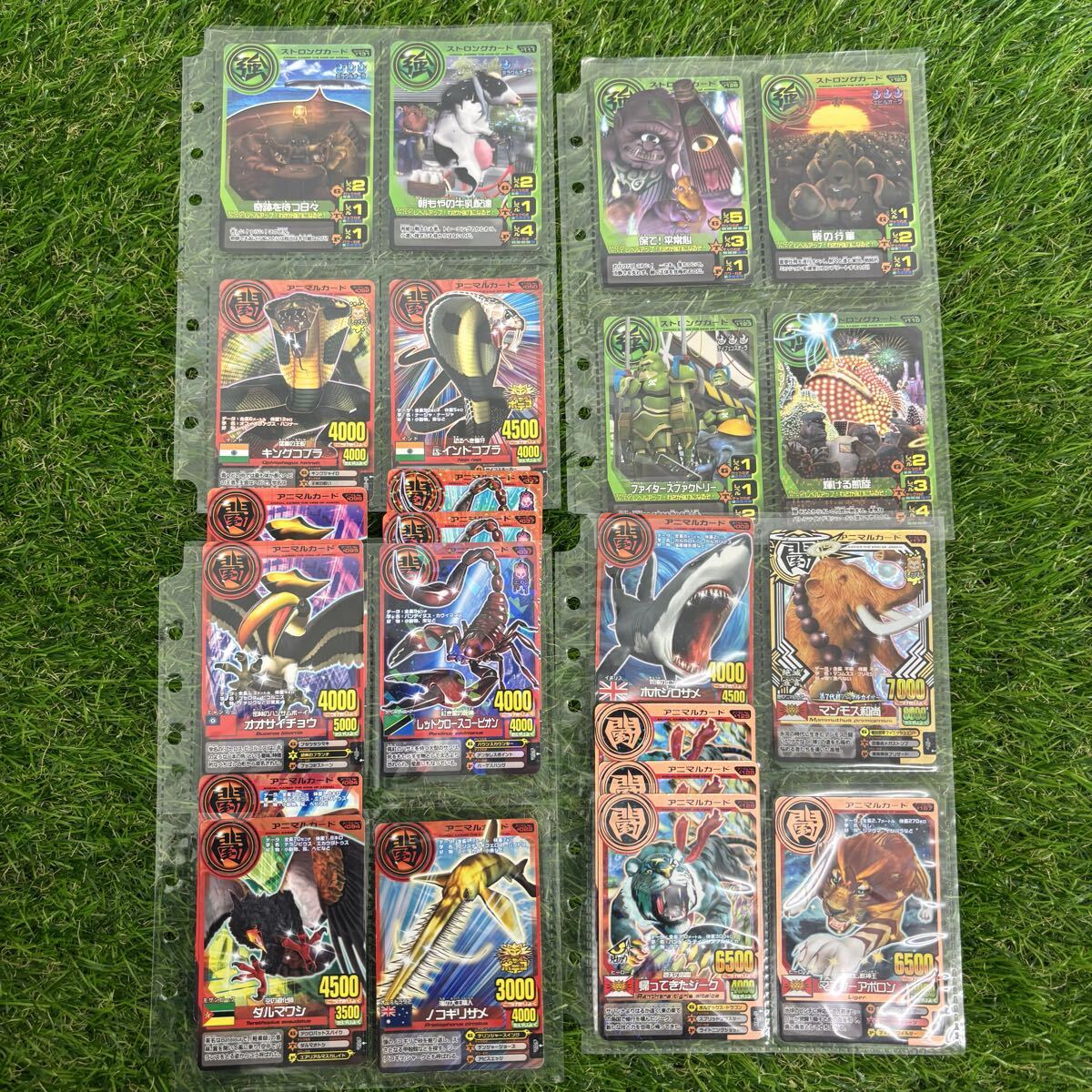 {$data['title']拍卖