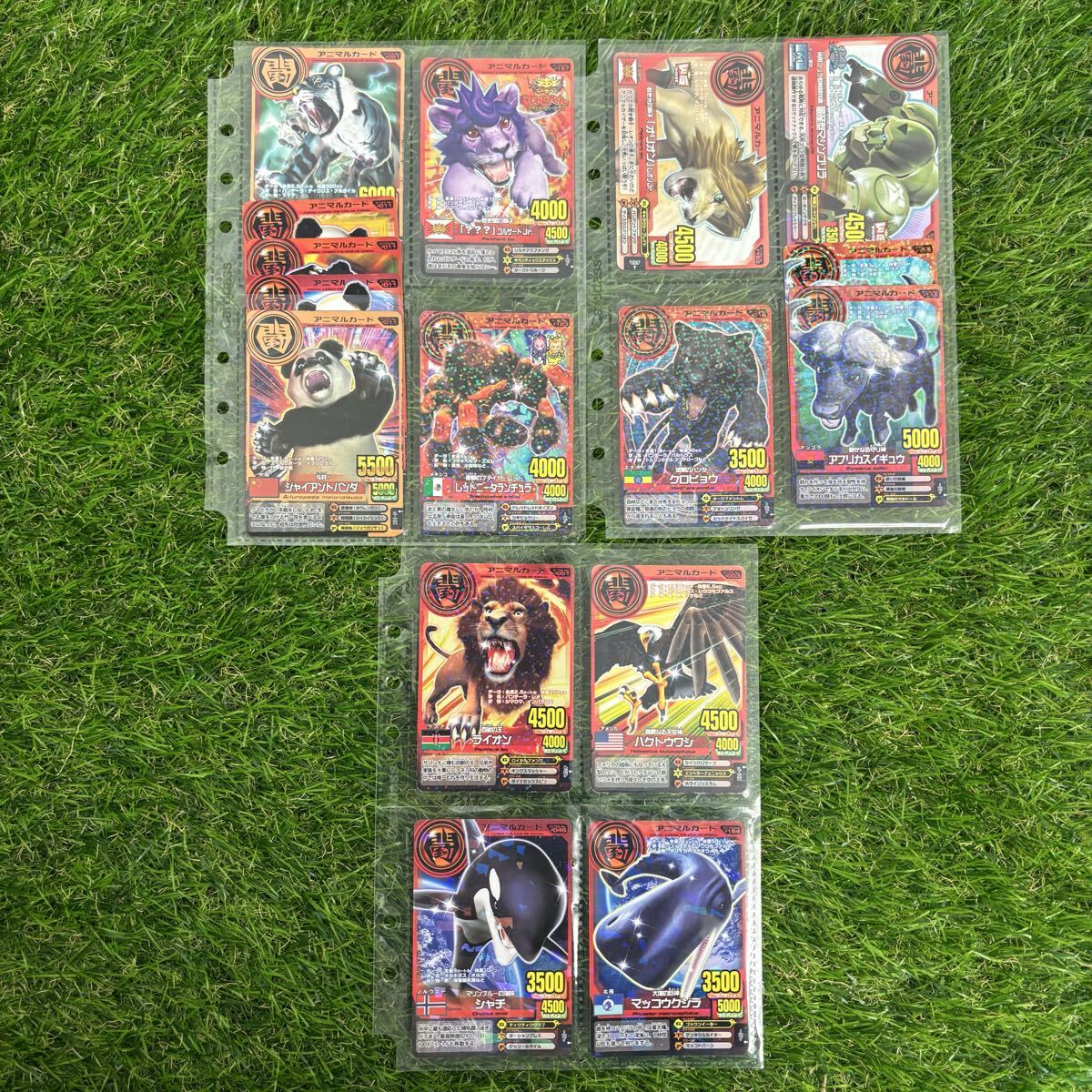 {$data['title']拍卖