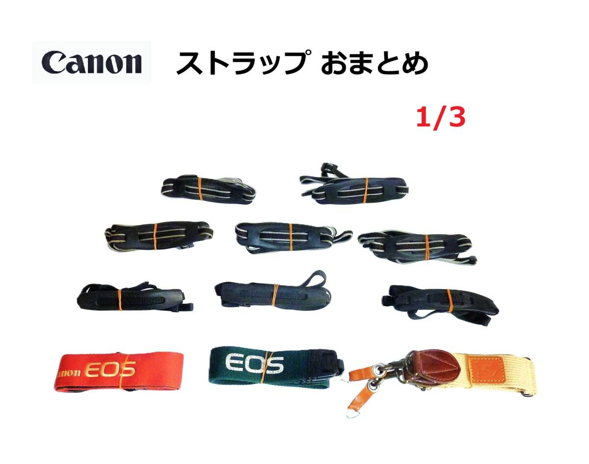 CS1/3キヤノン Canon ストラップ おまとめ（11本） 現状