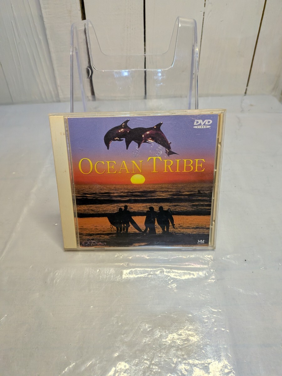 オーシャン・トライブ ：Ocean Tribe DVD 帯付き　A-225