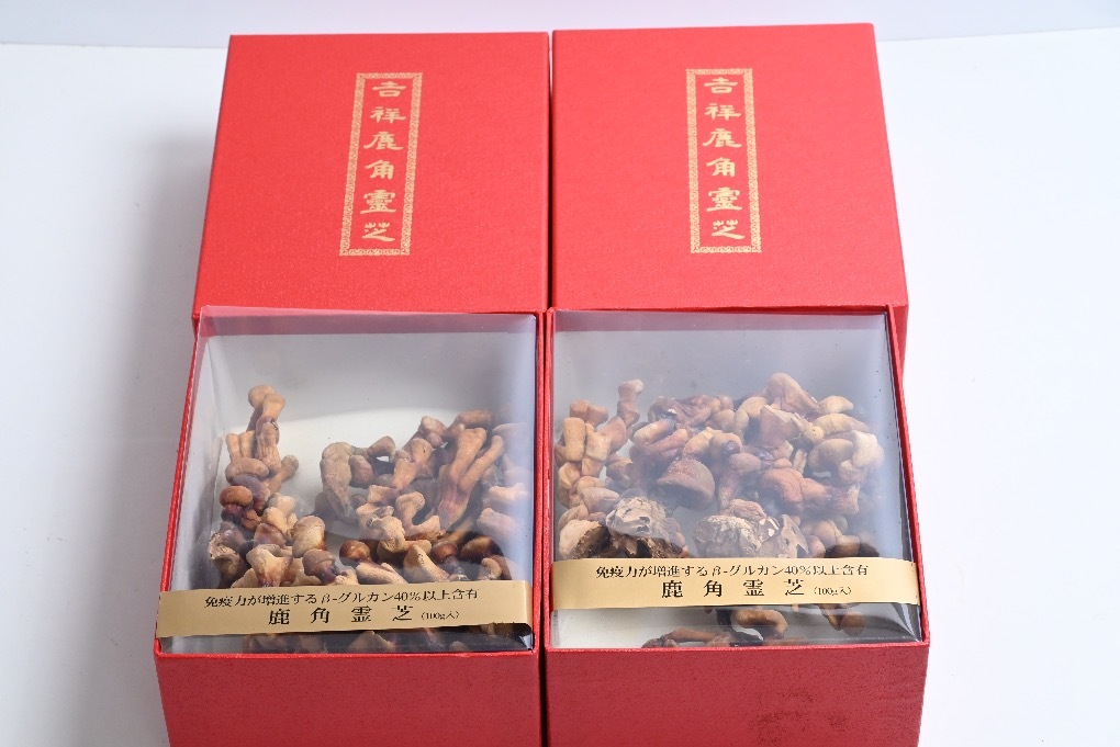 24/84/9 吉祥 鹿角霊芝 100g 2個