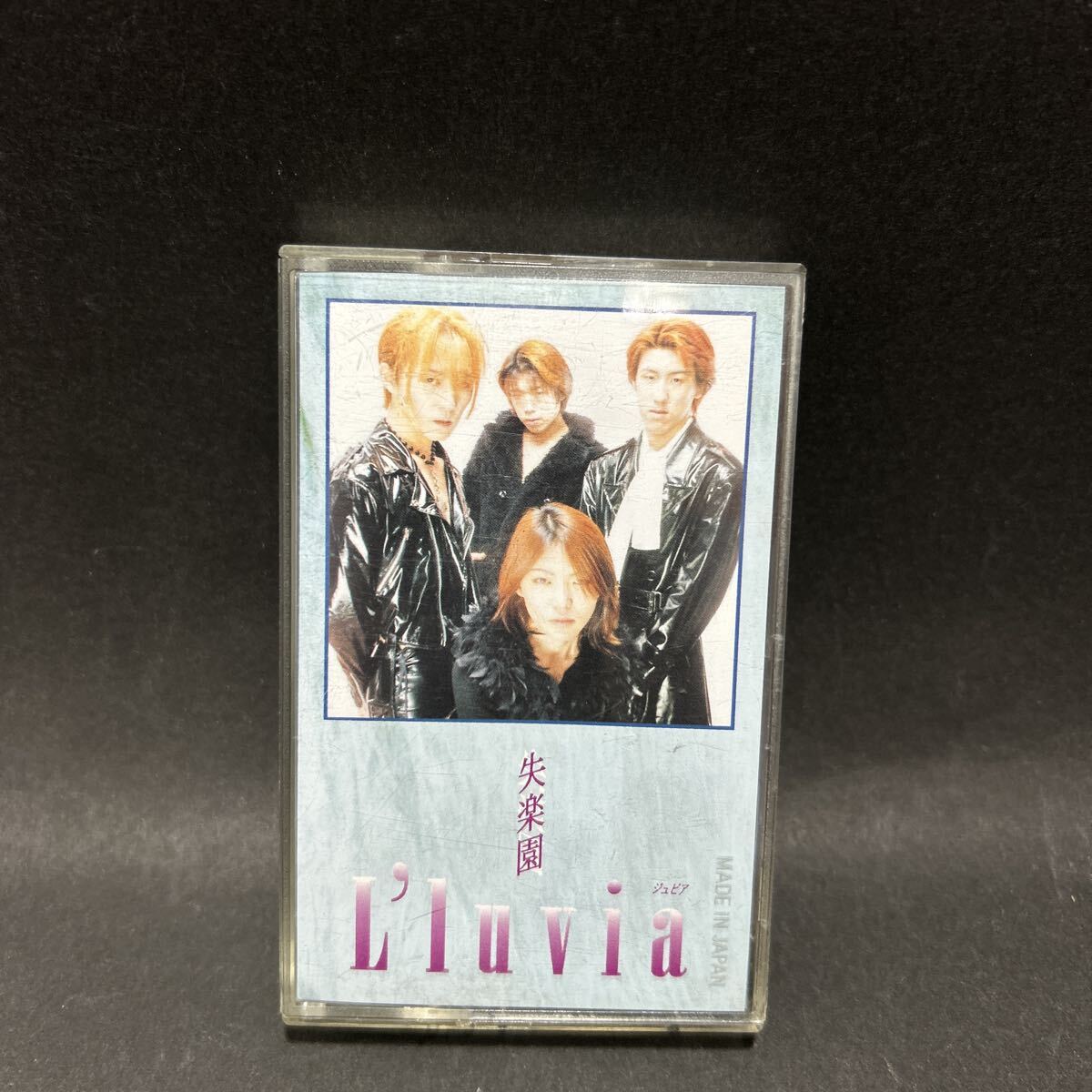 L'luvia(ジュビア) 失楽園　　1990年代ヴィジュアル系バンド