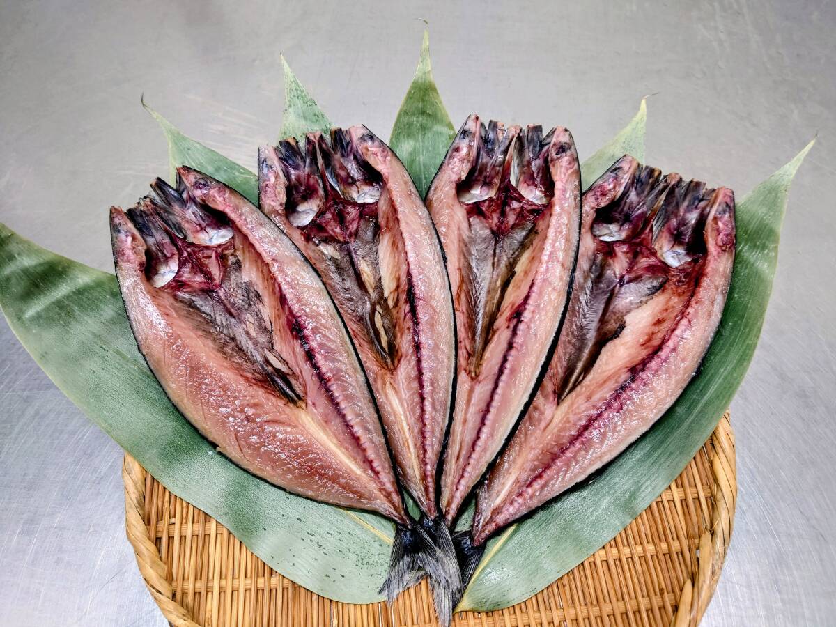 さば開き　４入×２袋　ノルウェー産　ごはんのおとも　産地直送　