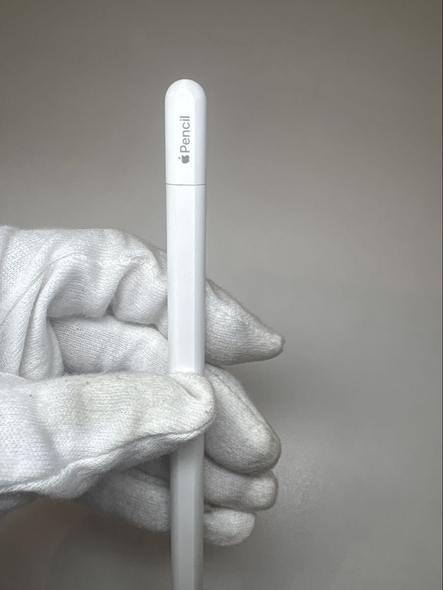 Apple Pencil (USB-C)現状品
