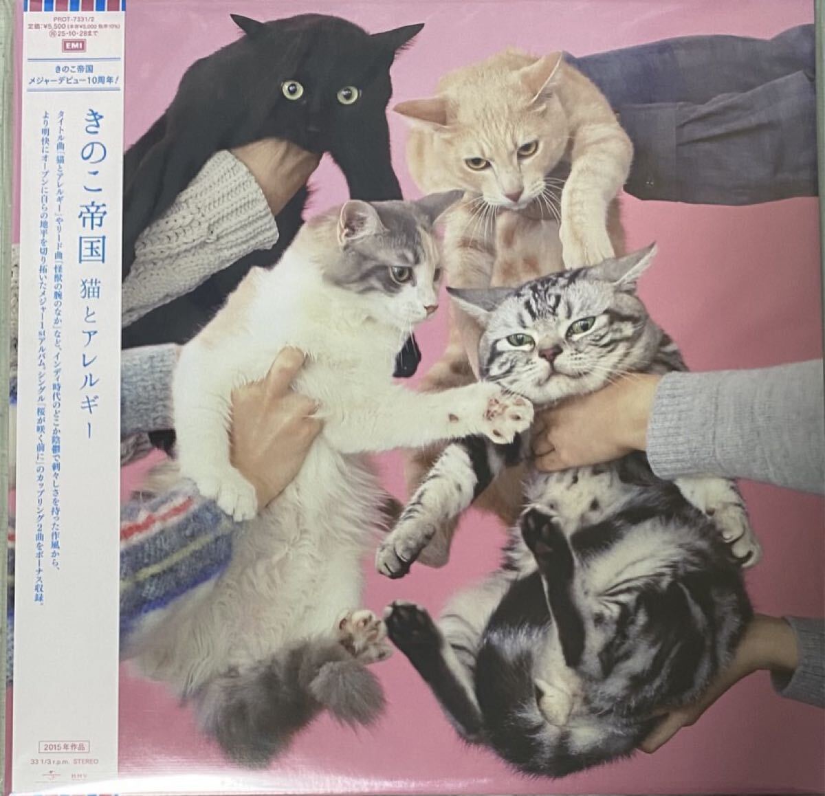 きのこ帝国 / 猫とアレルギー アナログ レコード 限定盤 中古　オリジナル盤 佐藤千亜妃 LP