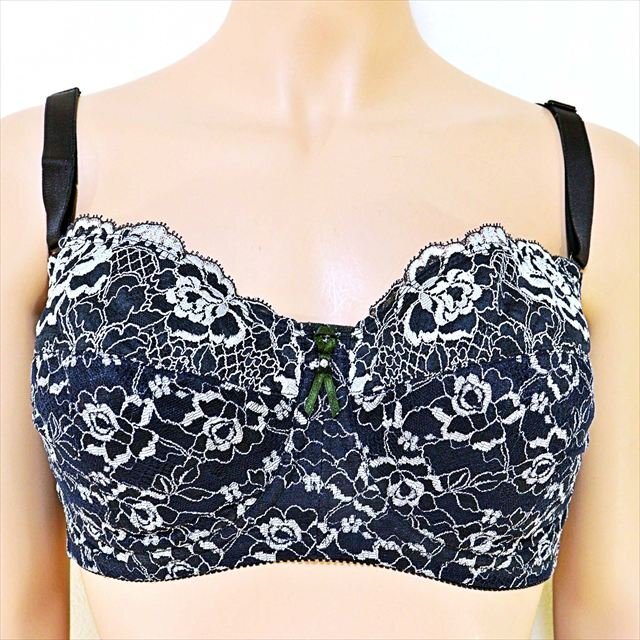 CE7-Q67☆//Chandealシャンデール☆ソレイユ*大きいFカップ☆日本製*豪華絢爛レース*補正ブラ※一番安価で送料はゆうパケット250円