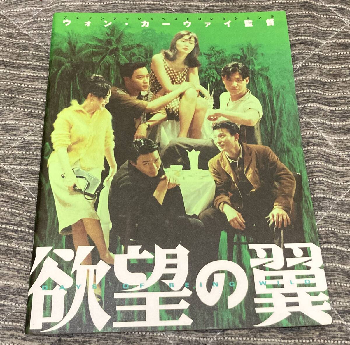 欲望の翼 / ウォン・カーウァイ レスリー・チャン アンディ・ラウ トニー・レオン カリーナ・ラウ