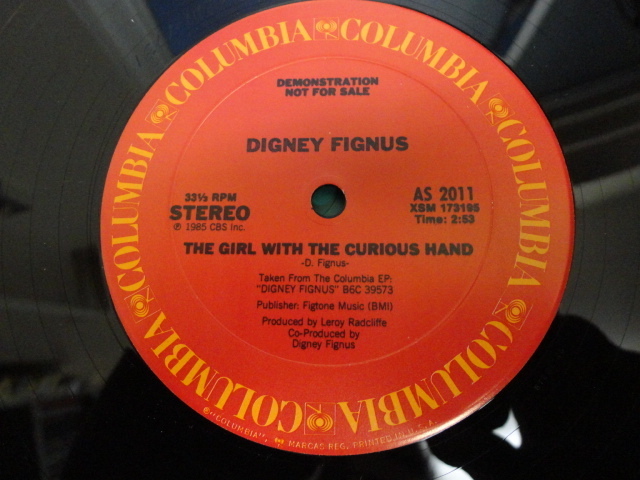Digney Fignus - The Girl With The Curious Hand オリジナル原盤 12 US PROMO POP ROCK サウンド　視聴